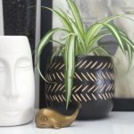 海角免费脚本:轻松获取高效自动化工具的最佳选择 42236ys