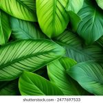 火影忍者免费全集在线播放:畅享经典忍者冒险,随时随地观看! 9dxrq9