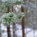 火影忍者同人本子排行榜:最受欢迎的创作与推荐作品分析 9ug39