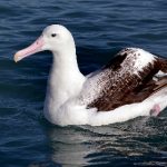 火影忍者免费观看在线观看:畅享经典动漫,尽情回味忍者世界的热血与友情 b4zd17