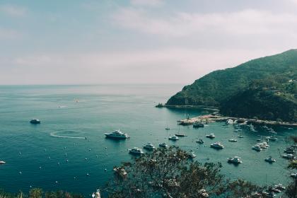 海角社区破解版免费版功能详解与使用指南