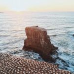 火影忍者漫画本子免费:畅享精彩剧情与角色互动的最佳选择 cm0f2ovj1