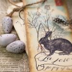 火狼动漫网 斗罗大陆 漫画:探索斗罗大陆的奇幻冒险与角色成长之旅 k3n4wu