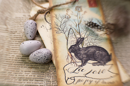 火狼动漫网 斗罗大陆 漫画：探索斗罗大陆的奇幻冒险与角色成长之旅