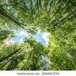 激萌导航:轻松发布你的地址,分享快乐出行 ll2lemip4