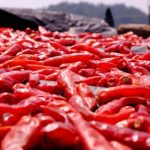 火影忍者本子中的喵绅士角色解析与魅力探讨 mi1zkjsx