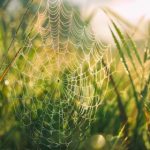 火影忍者本子漫画排行榜:十大经典作品推荐与详细解析 vhkgsxm