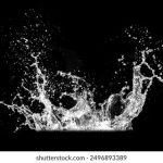 火狼动漫网:探索咒术回战的精彩世界与角色解析 w984svoaq