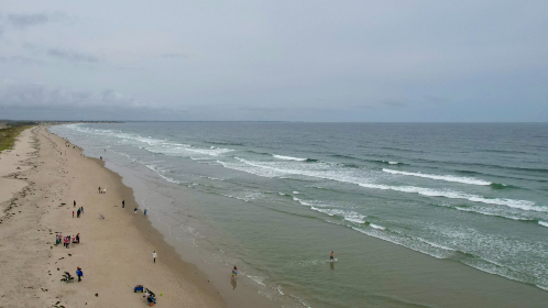 畅游樱花动漫官网，尽享官方正版精彩内容