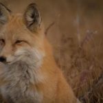 畅游天涯海角:轻松访问官方网站入口指南 7oylkt1crk