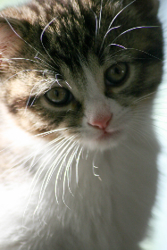 畅游日剧天堂网：发现你最爱的日本电视剧