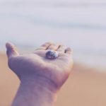 畅游晋江文学城:官方首页全攻略与精彩推荐 e74d6pj8s