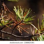 畅游漫画岛免费官网,尽享海量精彩漫画资源 q0rcsj6x