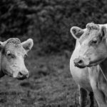 畅玩maimai音游手机版:音乐爱好者的必备选择 zmr7r0fadt